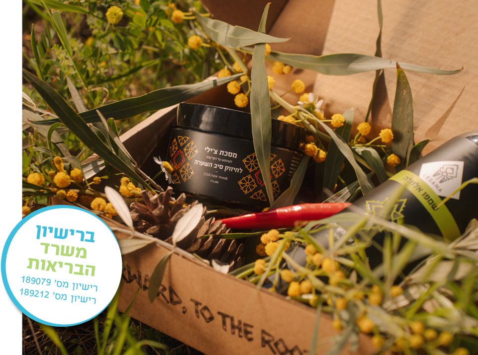 מארז של שני מוצרים מצולם ביער עם מגוון צמחים: מסכת צ'ילי המיועדת לשימוש על הקרקפת לחיזוק סיב השערה ועידוד צמיחת השיער, 250 מ"ל, אריזה בצבע שחור עם סמלים של צ'ילי בצבע אדום וקמומיל בצבע צהוב; שמפו אלוורה להרגעת עור הקרקפת, 500 מ"ל, אריזה בצבע שחור עם סמל של אלוורה בצבע ירוק. לוגו של מותג טיפוח השיער לסאנה – Lesana.